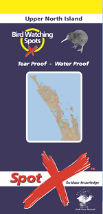 Bird Watching Upper North Island
